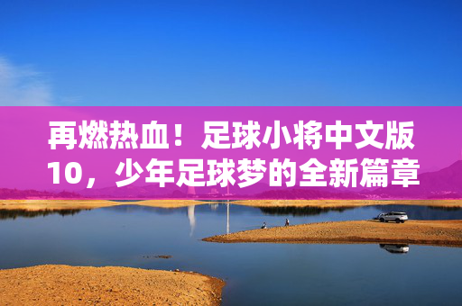 再燃热血！足球小将中文版10，少年足球梦的全新篇章与成长印记，再燃热血！足球小将中文版10，少年足球梦的全新篇章与成长印记