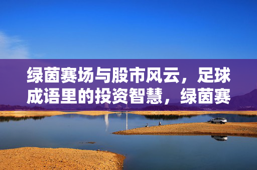 绿茵赛场与股市风云，足球成语里的投资智慧，绿茵赛场与股市风云，足球成语里的投资智慧
