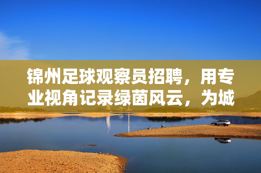 锦州足球观察员招聘，用专业视角记录绿茵风云，为城市足球发展注入专业力量，锦州足球观察员招聘，以专业视角记录绿茵风云，为城市足球发展注入专业力量