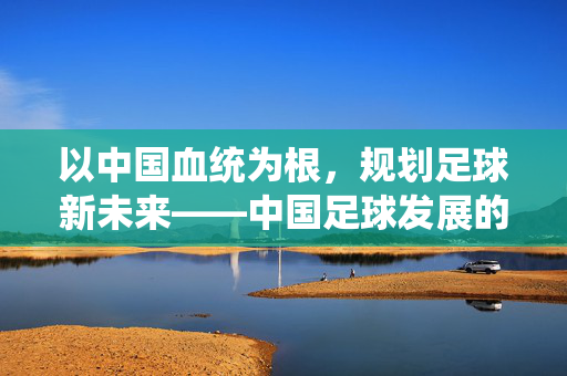 以中国血统为根，规划足球新未来——中国足球发展的本土化与全球化融合之路，以中国血统为根，规划足球新未来——中国足球发展的本土化与全球化融合之路