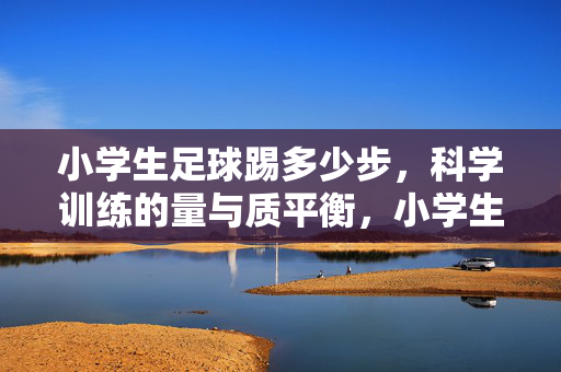 小学生足球踢多少步，科学训练的量与质平衡，小学生足球踢多少步，科学训练的量与质平衡