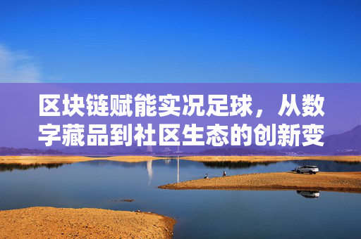 区块链赋能实况足球，从数字藏品到社区生态的创新变革，区块链赋能实况足球，从数字藏品到社区生态的创新变革