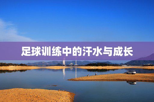 足球训练中的汗水与成长