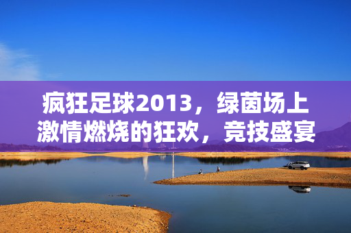 疯狂足球2013，绿茵场上激情燃烧的狂欢，竞技盛宴中的热血记忆，疯狂足球2013，绿茵场上激情燃烧的狂欢与热血竞技记忆