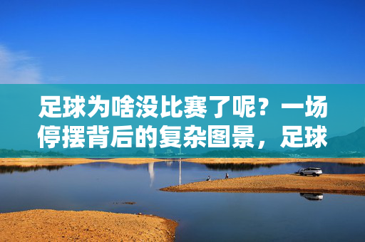 足球为啥没比赛了呢？一场停摆背后的复杂图景，足球为啥没比赛了呢？一场停摆背后的复杂图景
