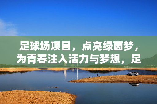 足球场项目，点亮绿茵梦，为青春注入活力与梦想，足球场项目，点亮绿茵梦，为青春注入活力与梦想