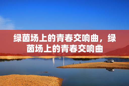 绿茵场上的青春交响曲，绿茵场上的青春交响曲