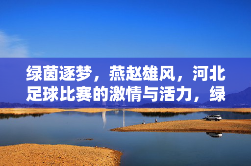 绿茵逐梦，燕赵雄风，河北足球比赛的激情与活力，绿茵逐梦，燕赵雄风，河北足球比赛的激情与活力