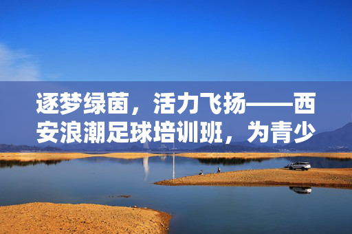 逐梦绿茵，活力飞扬——西安浪潮足球培训班，为青少年足球梦想注入澎湃动力，逐梦绿茵，活力飞扬——西安浪潮足球培训班，为青少年足球梦想注入澎湃动力