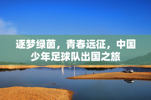 逐梦绿茵，青春远征，中国少年足球队出国之旅