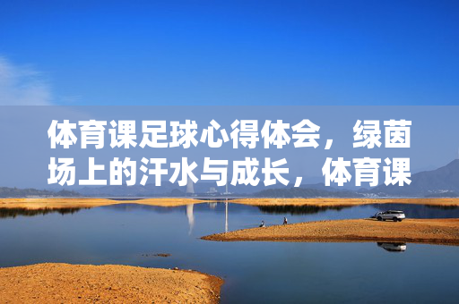 体育课足球心得体会，绿茵场上的汗水与成长，体育课足球心得，绿茵场上的汗水与成长