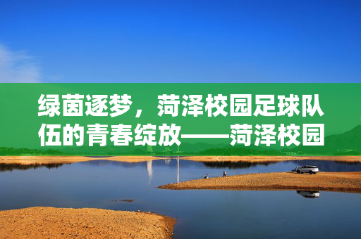 绿茵逐梦，菏泽校园足球队伍的青春绽放——菏泽校园足球队伍发展纪实，绿茵逐梦，菏泽校园足球队伍的青春绽放——菏泽校园足球队伍发展纪实