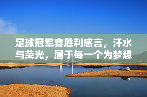 足球冠军赛胜利感言，汗水与荣光，属于每一个为梦想奔跑的我们，足球冠军赛胜利感言，汗水与荣光，属于每一个为梦想奔跑的我们