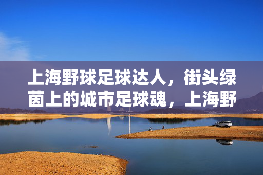 上海野球足球达人，街头绿茵上的城市足球魂，上海野球足球达人，街头绿茵上的城市足球魂