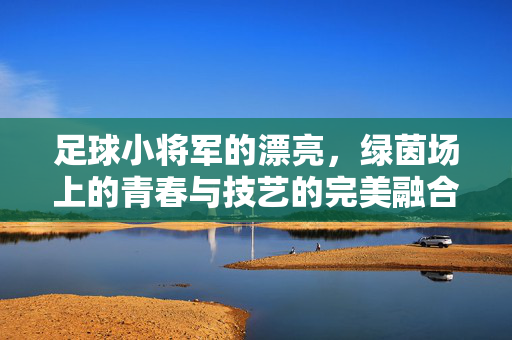 足球小将军的漂亮，绿茵场上的青春与技艺的完美融合，足球小将军的漂亮，绿茵场上青春与技艺的完美融合