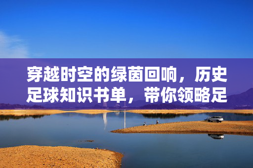 穿越时空的绿茵回响，历史足球知识书单，带你领略足球的百年风云与经典瞬间，穿越时空的绿茵回响，历史足球知识书单，领略百年风云与经典瞬间