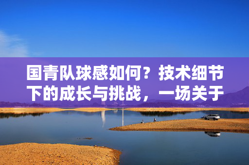 国青队球感如何？技术细节下的成长与挑战，一场关于年轻球员足球素养的观察