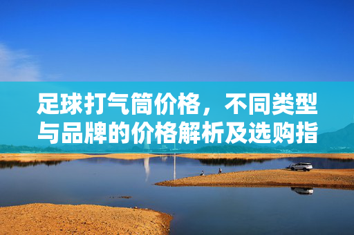 足球打气筒价格，不同类型与品牌的价格解析及选购指南，足球打气筒价格，不同类型与品牌的价格解析及选购指南