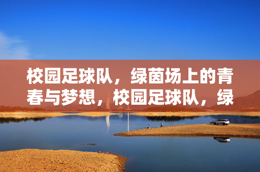 校园足球队，绿茵场上的青春与梦想，校园足球队，绿茵场上的青春与梦想