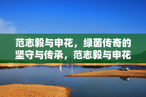 范志毅与申花，绿茵传奇的坚守与传承，范志毅与申花，绿茵传奇的坚守与传承