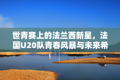 世青赛上的法兰西新星，法国U20队青春风暴与未来希望，世青赛上的法兰西新星，法国U20队青春风暴与未来希望