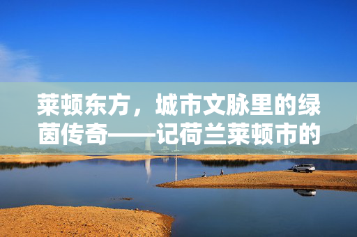 莱顿东方,城市文脉里的绿茵传奇——记荷兰莱顿市的一支老牌足球俱乐部,莱顿东方,城市文脉里的绿茵传奇——记荷兰莱顿市的一支老牌足球俱乐部
