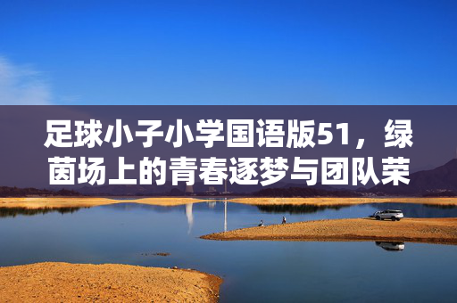 足球小子小学国语版51，绿茵场上的青春逐梦与团队荣光