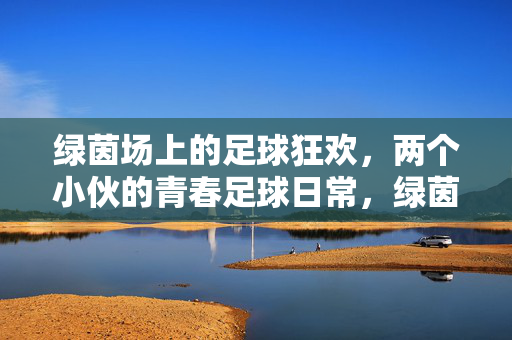绿茵场上的足球狂欢，两个小伙的青春足球日常，绿茵场上的足球狂欢，两个小伙的青春足球日常