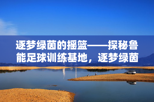 逐梦绿茵的摇篮——探秘鲁能足球训练基地，逐梦绿茵的摇篮——探秘鲁能足球训练基地