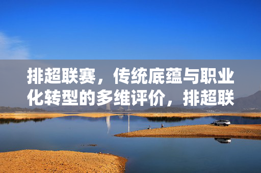 排超联赛，传统底蕴与职业化转型的多维评价，排超联赛，传统底蕴与职业化转型的多维评价