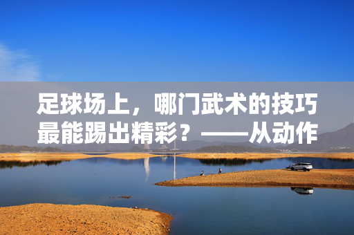 足球场上，哪门武术的技巧最能踢出精彩？——从动作模仿到实战策略，这些武术流派值得借鉴，足球场上武术技巧的实战借鉴，从动作模仿到策略，哪些武术流派值得借鉴？