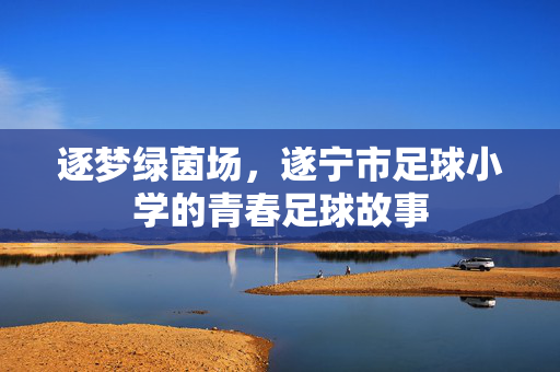 逐梦绿茵场，遂宁市足球小学的青春足球故事