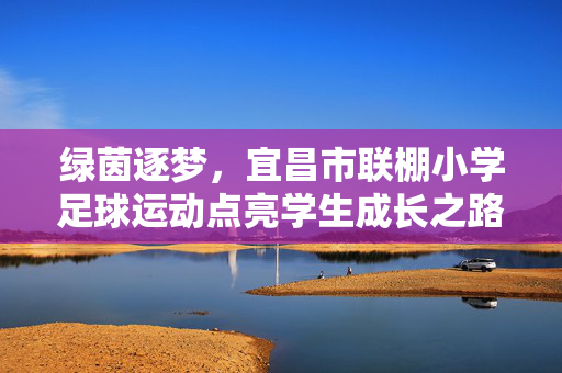 绿茵逐梦，宜昌市联棚小学足球运动点亮学生成长之路