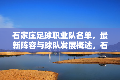 石家庄足球职业队名单，最新阵容与球队发展概述，石家庄足球职业队最新名单、阵容及球队发展概述
