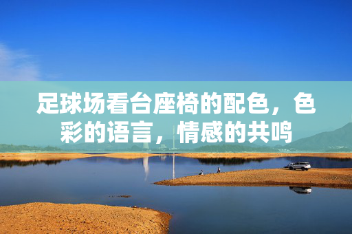 足球场看台座椅的配色，色彩的语言，情感的共鸣