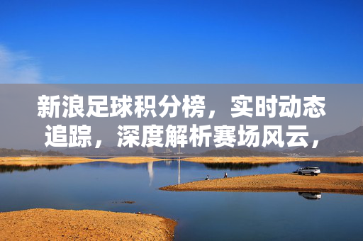 新浪足球积分榜，实时动态追踪，深度解析赛场风云，助你掌握联赛核心数据