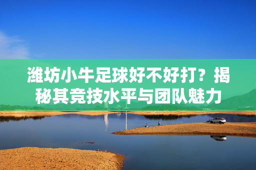 潍坊小牛足球好不好打？揭秘其竞技水平与团队魅力