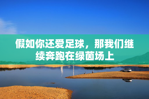 假如你还爱足球，那我们继续奔跑在绿茵场上