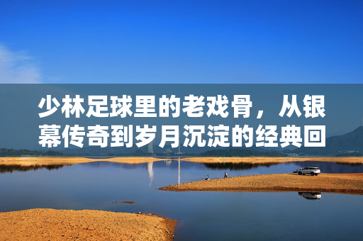少林足球里的老戏骨，从银幕传奇到岁月沉淀的经典回响，少林足球里的老戏骨，从银幕传奇到岁月沉淀的经典回响
