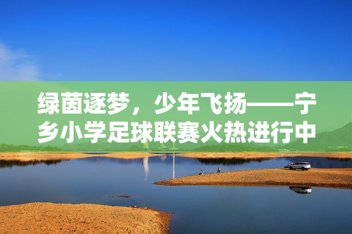 绿茵逐梦，少年飞扬——宁乡小学足球联赛火热进行中