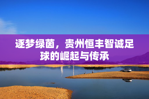 逐梦绿茵，贵州恒丰智诚足球的崛起与传承