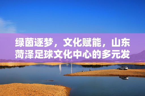 绿茵逐梦，文化赋能，山东菏泽足球文化中心的多元发展之路，绿茵逐梦，文化赋能，山东菏泽足球文化中心的多元发展之路