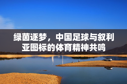 绿茵逐梦，中国足球与叙利亚图标的体育精神共鸣