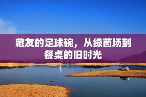 藏友的足球碗，从绿茵场到餐桌的旧时光