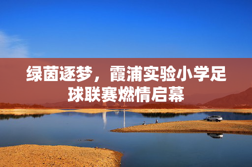 绿茵逐梦，霞浦实验小学足球联赛燃情启幕