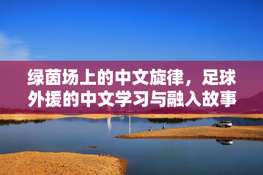 绿茵场上的中文旋律，足球外援的中文学习与融入故事