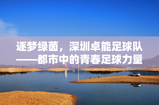 逐梦绿茵，深圳卓能足球队——都市中的青春足球力量