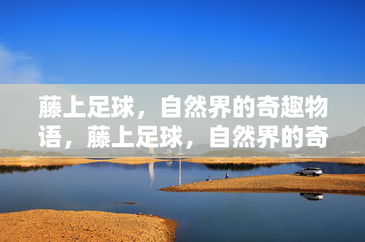 藤上足球，自然界的奇趣物语，藤上足球，自然界的奇趣物语
