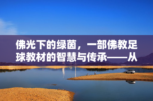 佛光下的绿茵，一部佛教足球教材的智慧与传承——从球门到心门，感悟足球与佛法的共通哲思，佛光下的绿茵，一部佛教足球教材的智慧与传承——从球门到心门，共通哲思的感悟
