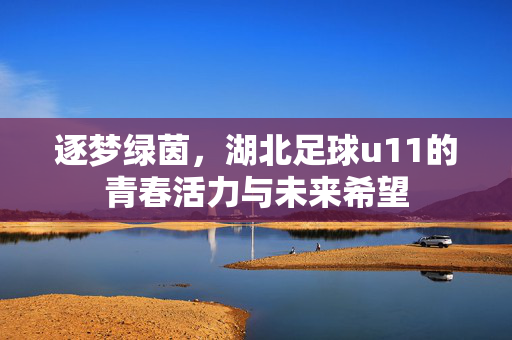 逐梦绿茵，湖北足球u11的青春活力与未来希望